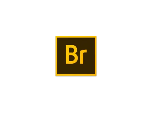 「📃Br2020&各类文件管理」Adobe Bridge 2020 v10.0.2.131 中文逆向直装版 - macGF
