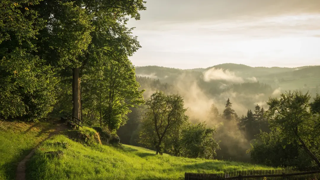 山间 晨光 草地 栅栏 С· 云雾 12k风景壁纸 MACGF.COM