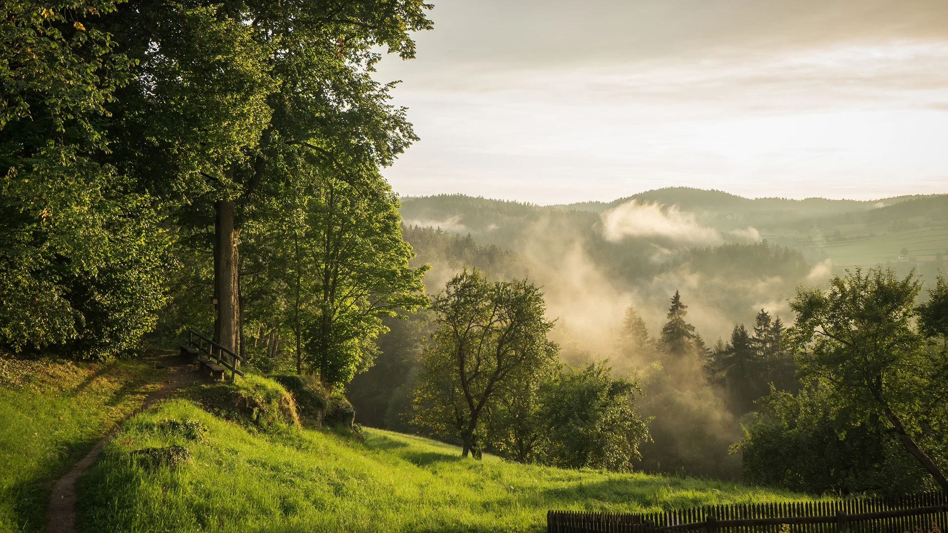 山间 晨光 草地 栅栏 С· 云雾 12k风景壁纸 MACGF.COM