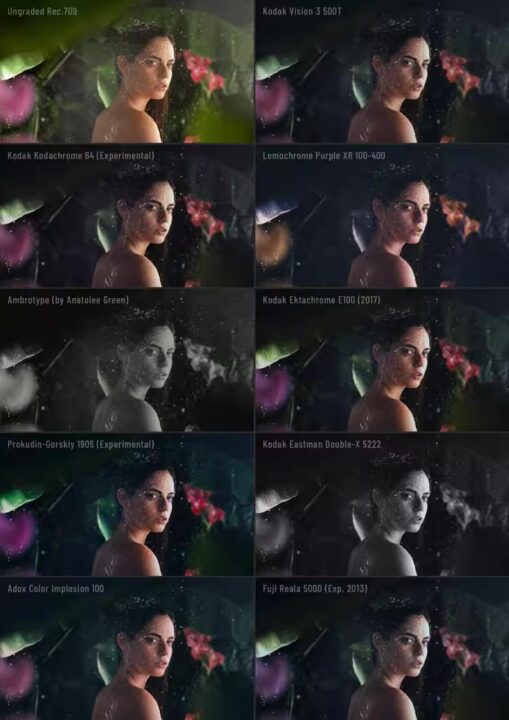 图片[1] - 「FCPX胶片模拟视频调色插件」Dehancer Pro FCPX v1.0.0 英文插件版 - macGF