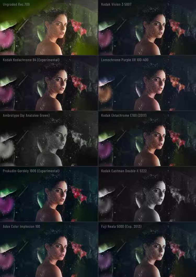 图片[1] - 「FCPX胶片模拟视频调色插件」Dehancer Pro FCPX v1.0.0 英文插件版 - macGF