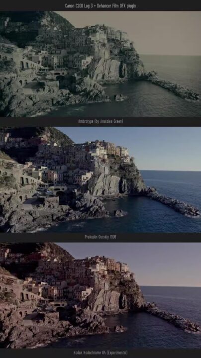 图片[2] - 「FCPX胶片模拟视频调色插件」Dehancer Pro FCPX v1.0.0 英文插件版 - macGF