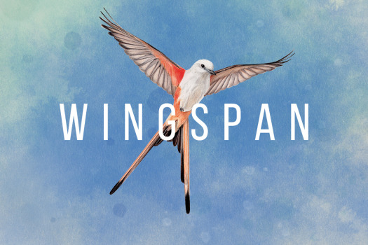 「展翅翱翔&策略卡牌游戏」WINGSPAN v150 中文原生版 附DLC - macGF