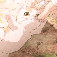 nico96329的头像 - macGF