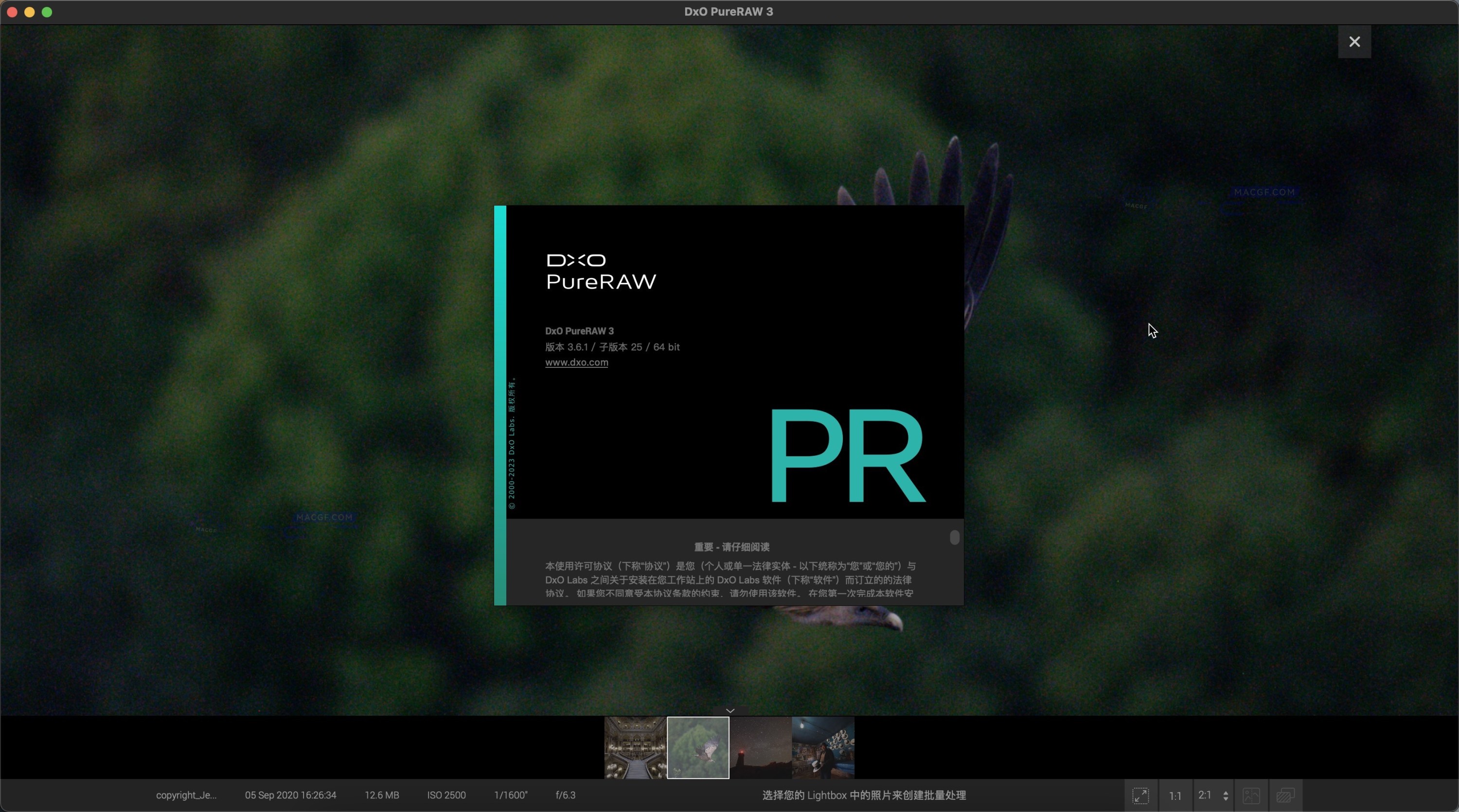 图片[2] - 「降噪光学矫正软件｜Lrc图像降噪处理插件」DxO PureRAW v3.6.1 中文激活版 - macGF