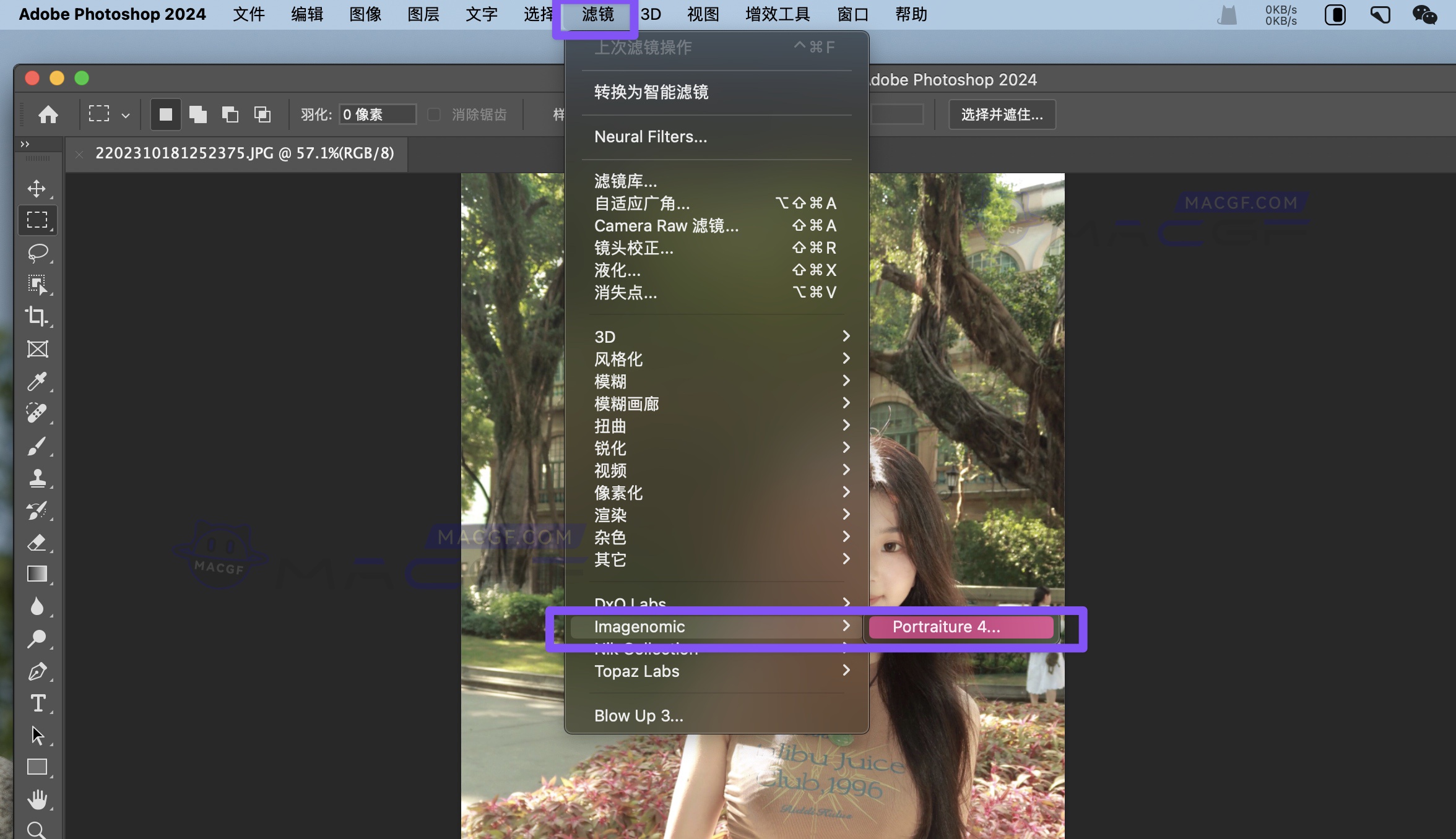 图片[1] - 「Ps人像磨皮滤镜插件」Imagenomic Portraiture 4 v4.1.2(4127) 激活版 - macGF