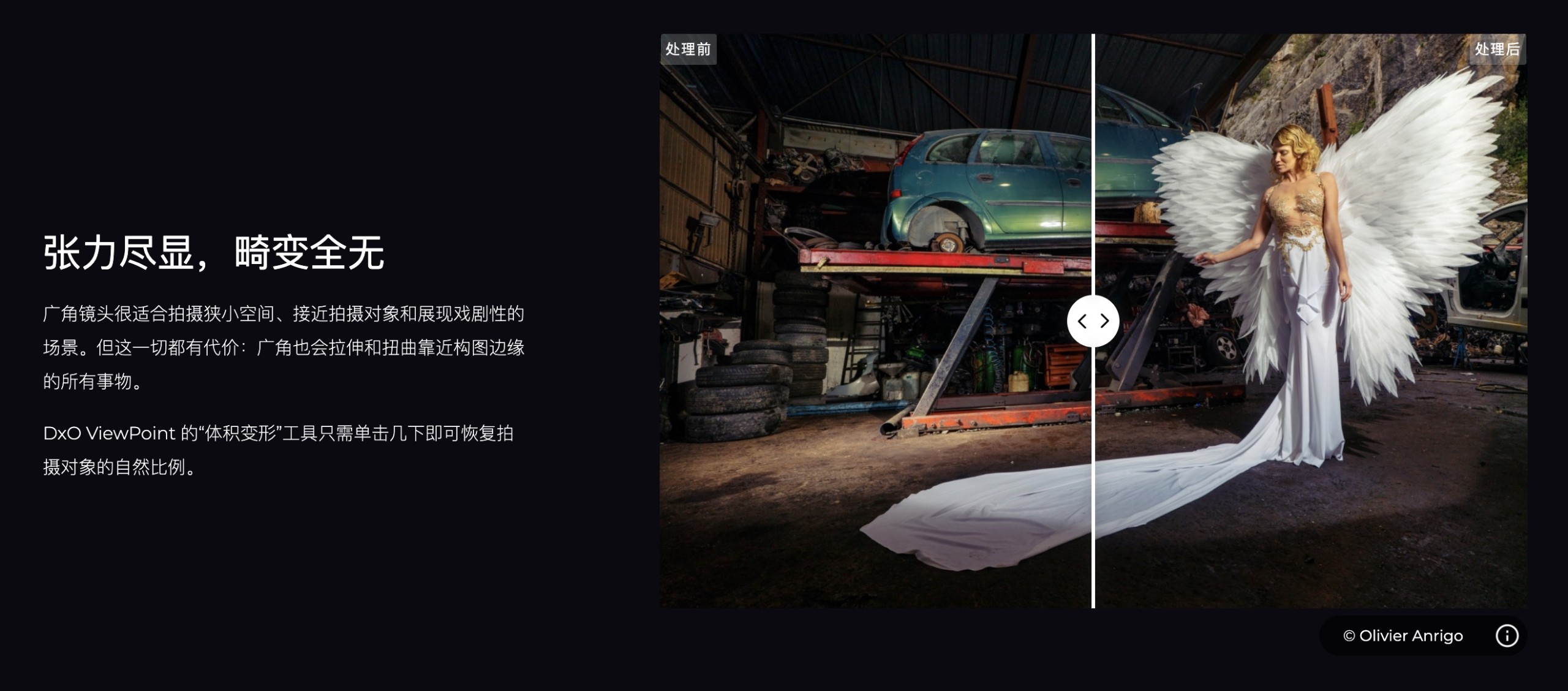 图片[6] - 「图像广角几何变形调整修复｜Ps修复畸变插件」DxO ViewPoint v4.10.0.250 中文激活版 - MACGF