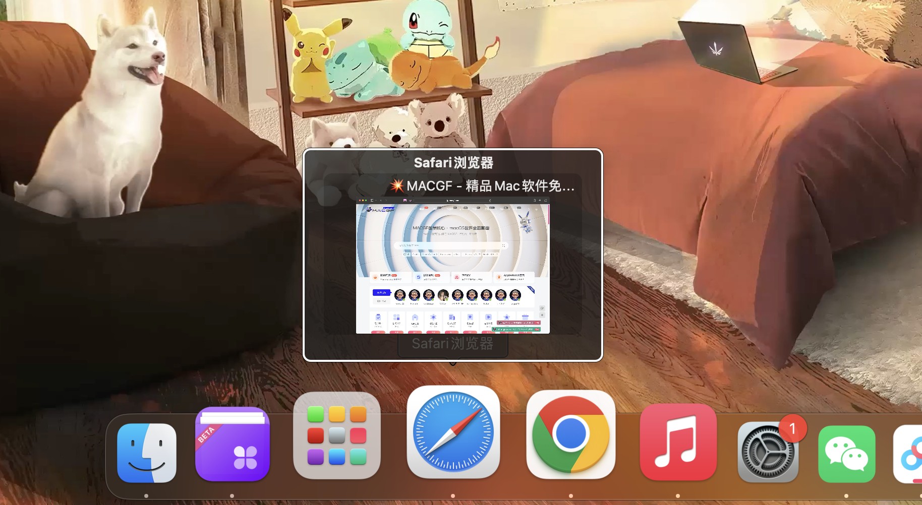 图片[1] - 「程序坞所有窗口预览工具」DockView Dock v1.4 英文激活版 - macGF