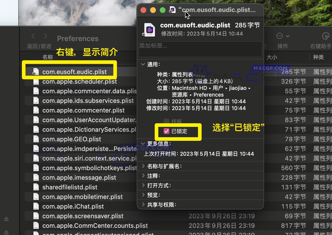 图片[8] - 「英语词典翻译查询工具」Eudic欧路词典 v4.4.9 激活版 - MACGF