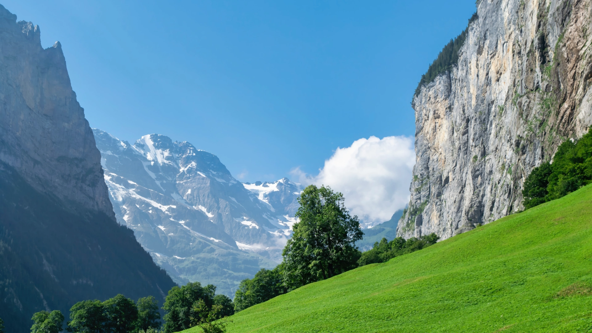 自然 景观 山脉 草原 12k超清风景壁纸