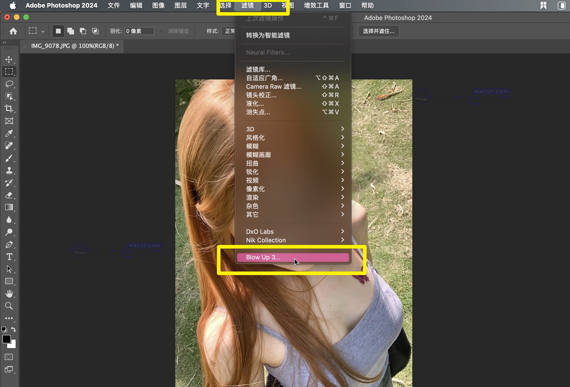 图片[5] - 「Ps最强图像无损放大插件」Alien Skin Blow Up 3 v3.1.6.0 英文激活版 - macGF