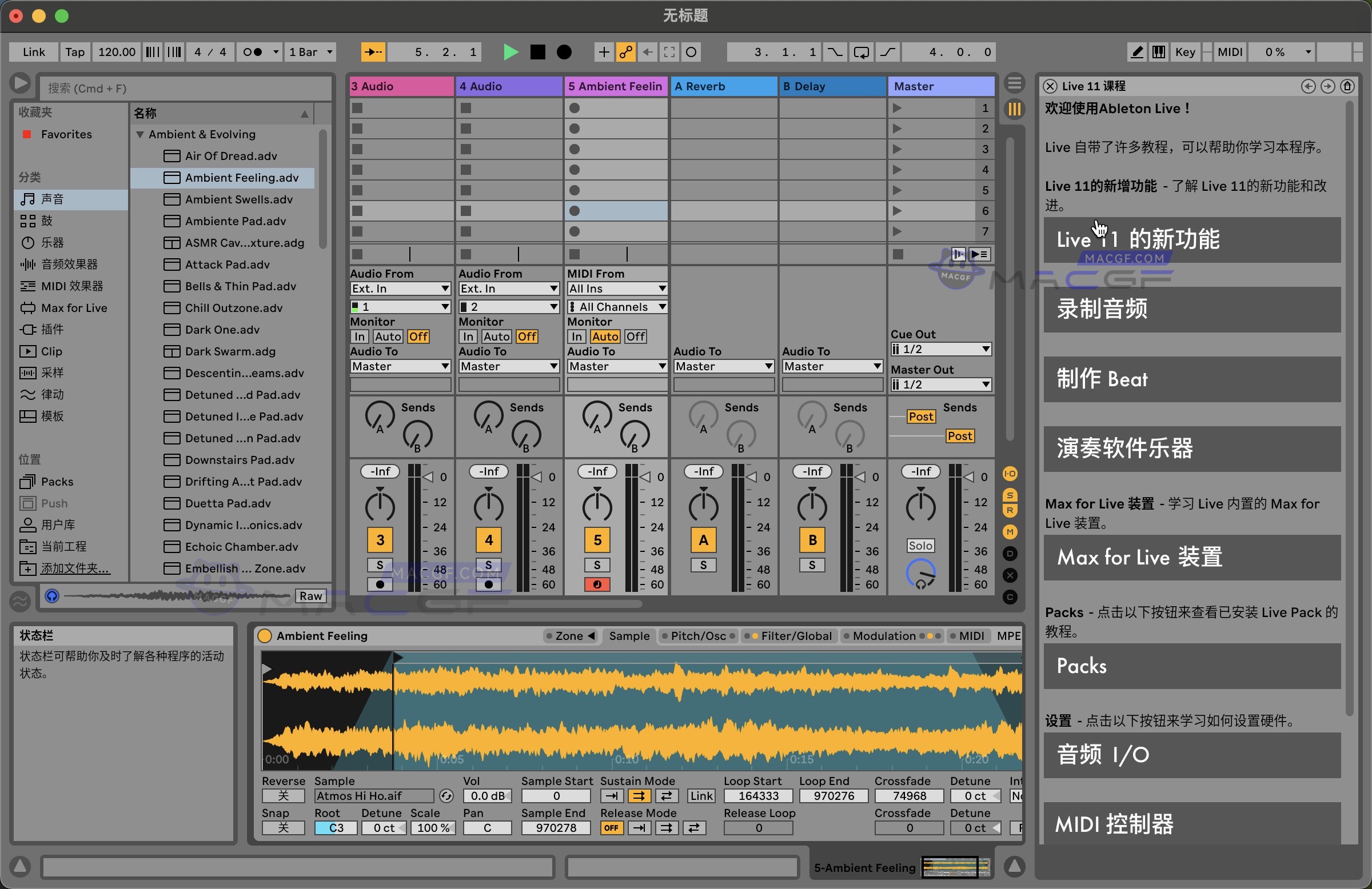 图片[1] - 「音乐制作套件」Ableton Live 11 Suite v11.3.11 中文激活版 - macGF