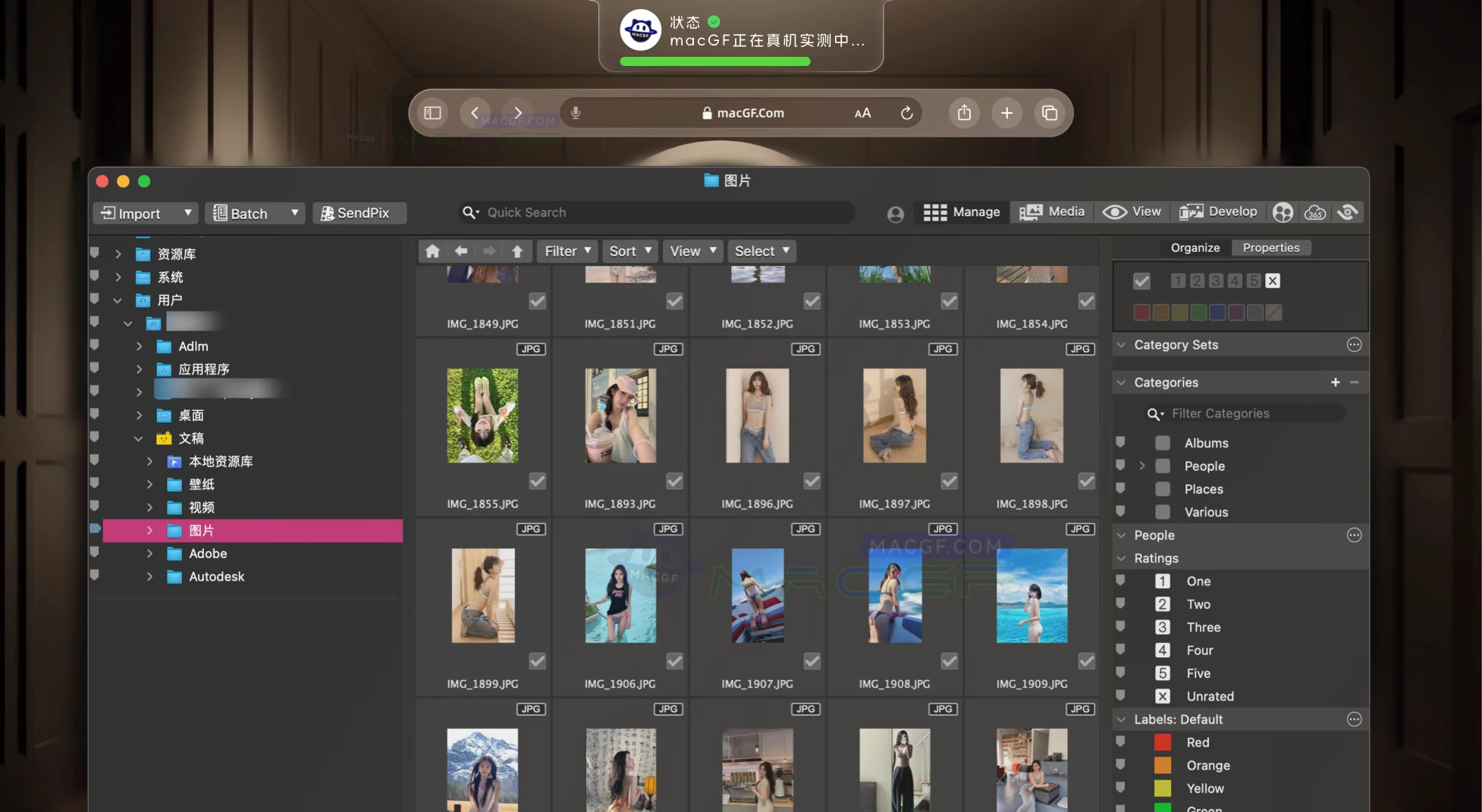 「专业图像文件管理工具」ACDSee Photo Studio 11 v11.0.0 激活版