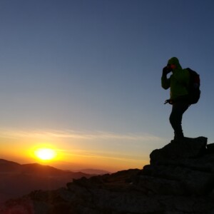 treespring的头像 - macGF