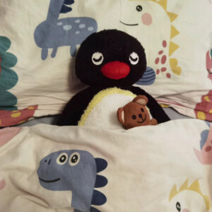 baibai的头像 - macGF