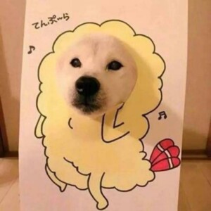 mac连关机按钮都没有真垃圾的头像 - macGF