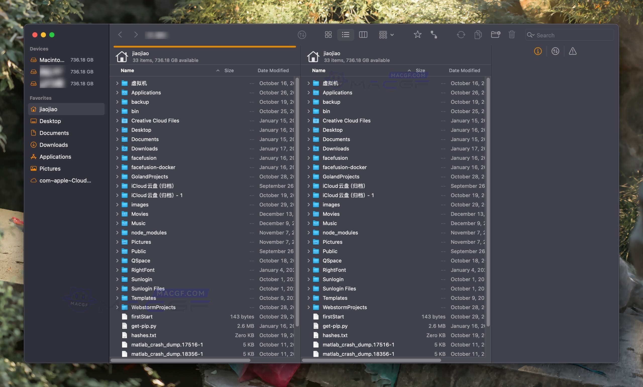 图片[1] - 「强大文件管理器FTP客户端」ForkLift v4.0.6 激活版 - macGF