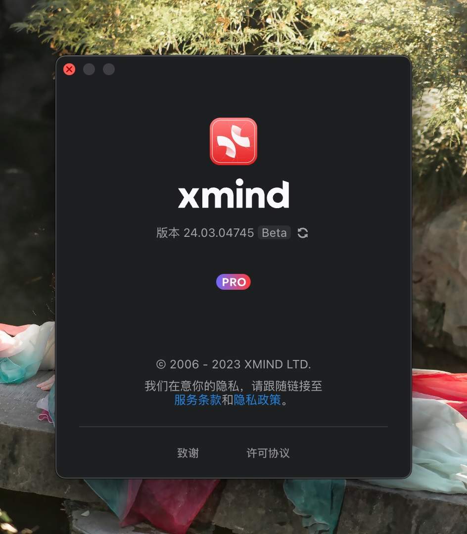 图片[3] - 「专业思维导图佼佼者」XMind Pro 2024 v24.03 Beta 中文激活版 - macGF