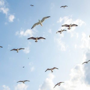 2840066950Wl的头像 - macGF