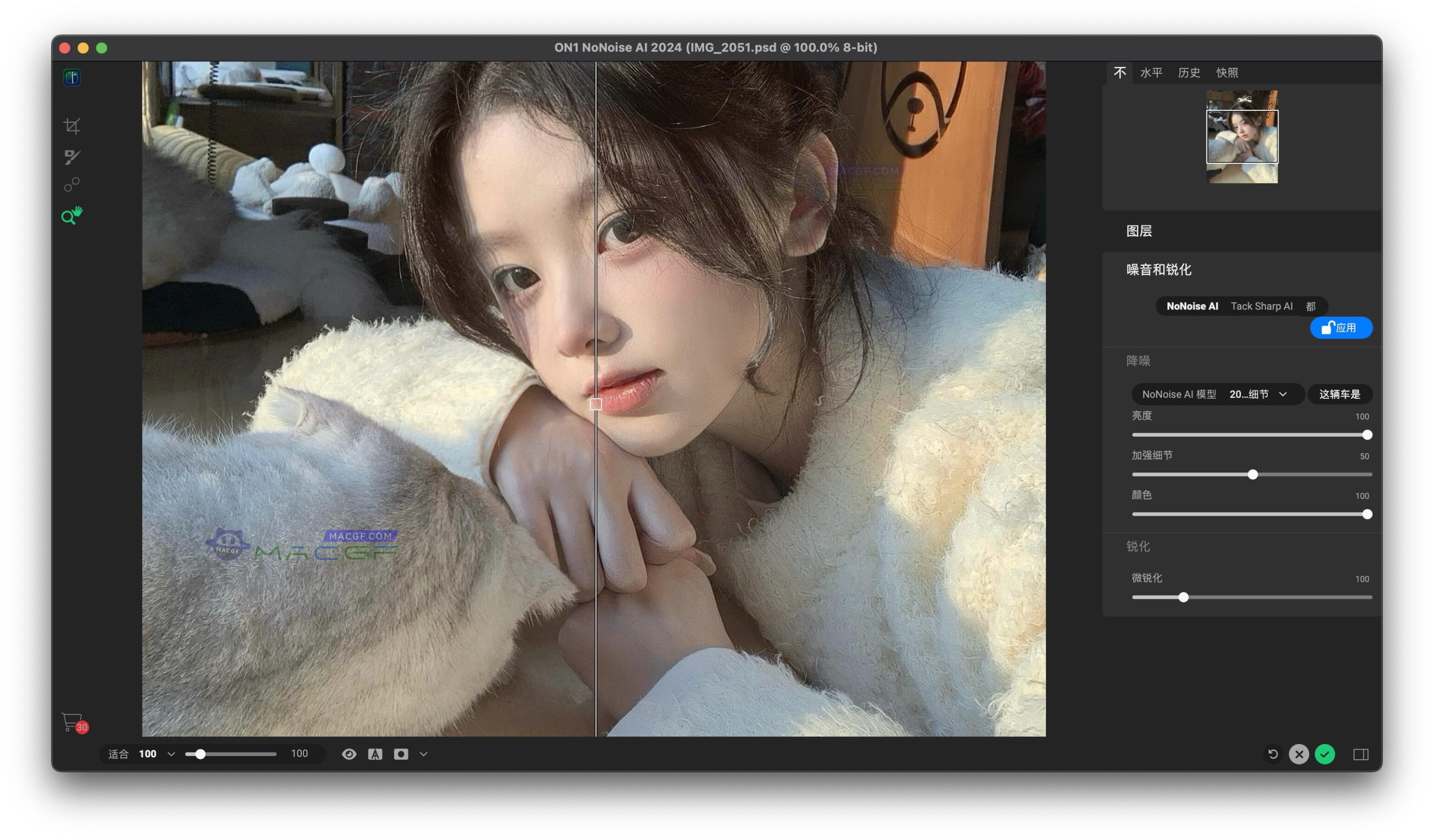 图片[1] - 「图像降噪」ON1 NoNoise AI 2024.5 v18.5.1.15726 中文版 - macGF