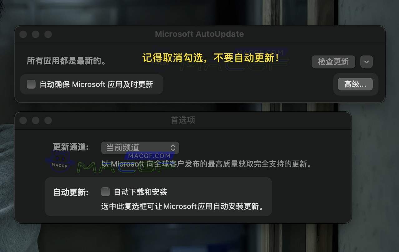 图片[5] - 「微软办公软件全套件」Microsoft Office LTSC 2024 v16.93 激活版 - macGF