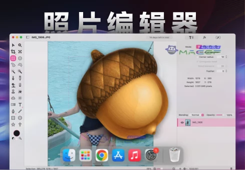 「轻量级图片处理工具」Acorn v7.4.5 直装版 - macGF