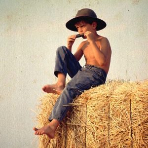 窦尔顽的头像 - macGF