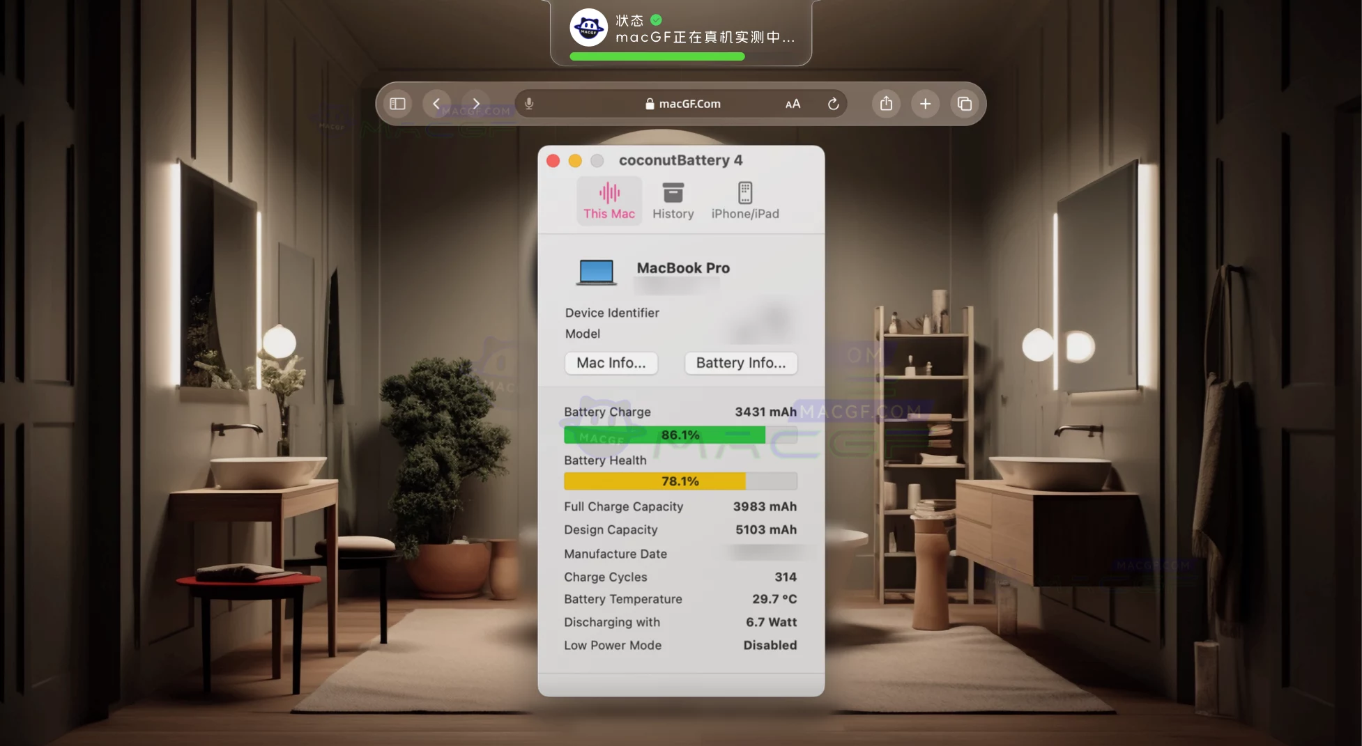 「椰子电池 Plus」coconutBattery Plus v4.0.0 (122) 英文版