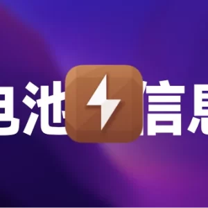 「椰子电池 Plus」coconutBattery Plus v4.0.0 (122) 英文版 - macGF