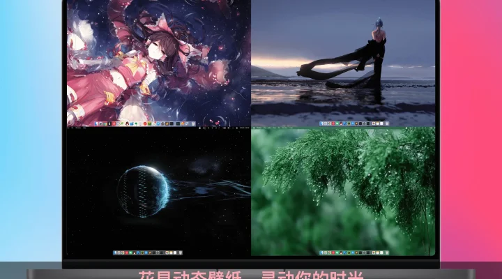 花見动态壁纸 - 6000+精选4K动态壁纸 截图 1