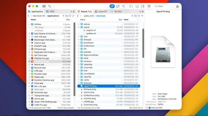 Viper FTP 截图 1
