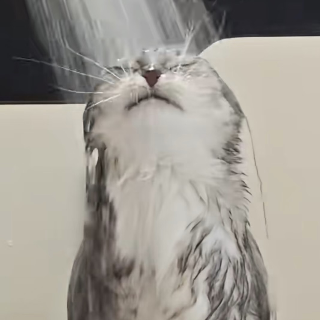 黑凤梨王子